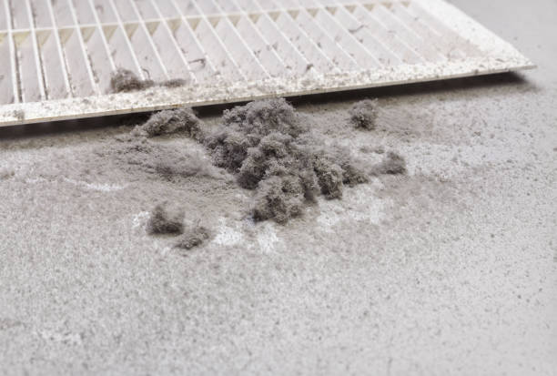 Best Air Duct Cleaning Company Near Me  in Mccom, OH