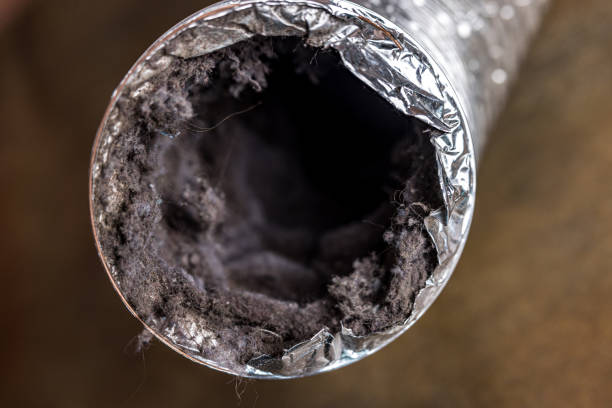 Best Air Duct Sanitizing Services  in Mccom, OH